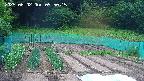 kannonmori-20250602095016.jpg
